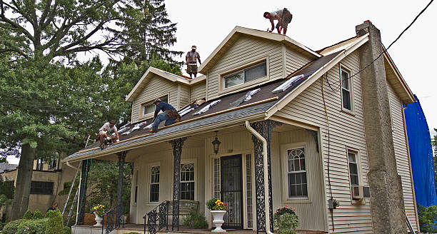 Roof Gutter Cleaning in Florence, OR